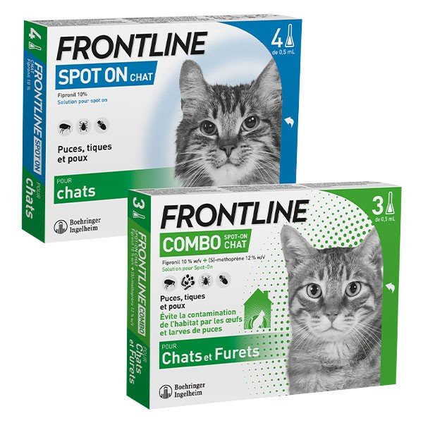 Frontline Combo Chats et Furets 6 pipettes