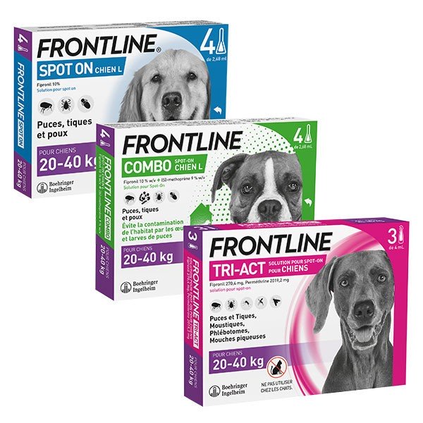 Frontline Combo Chien XL 6 pipettes